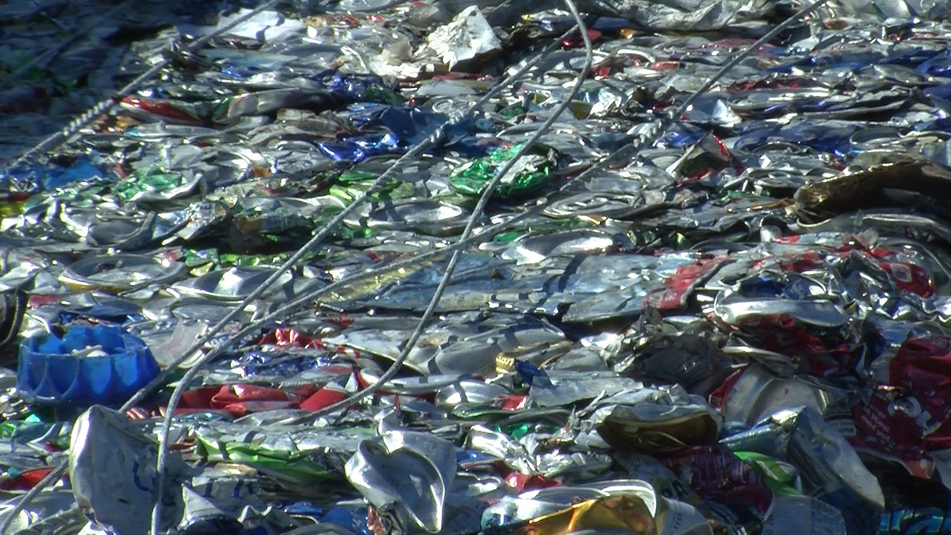 Inaugural America Recycle Day in Sarasota Suncoast News and Weather Sarasota Manatee & Charlotte