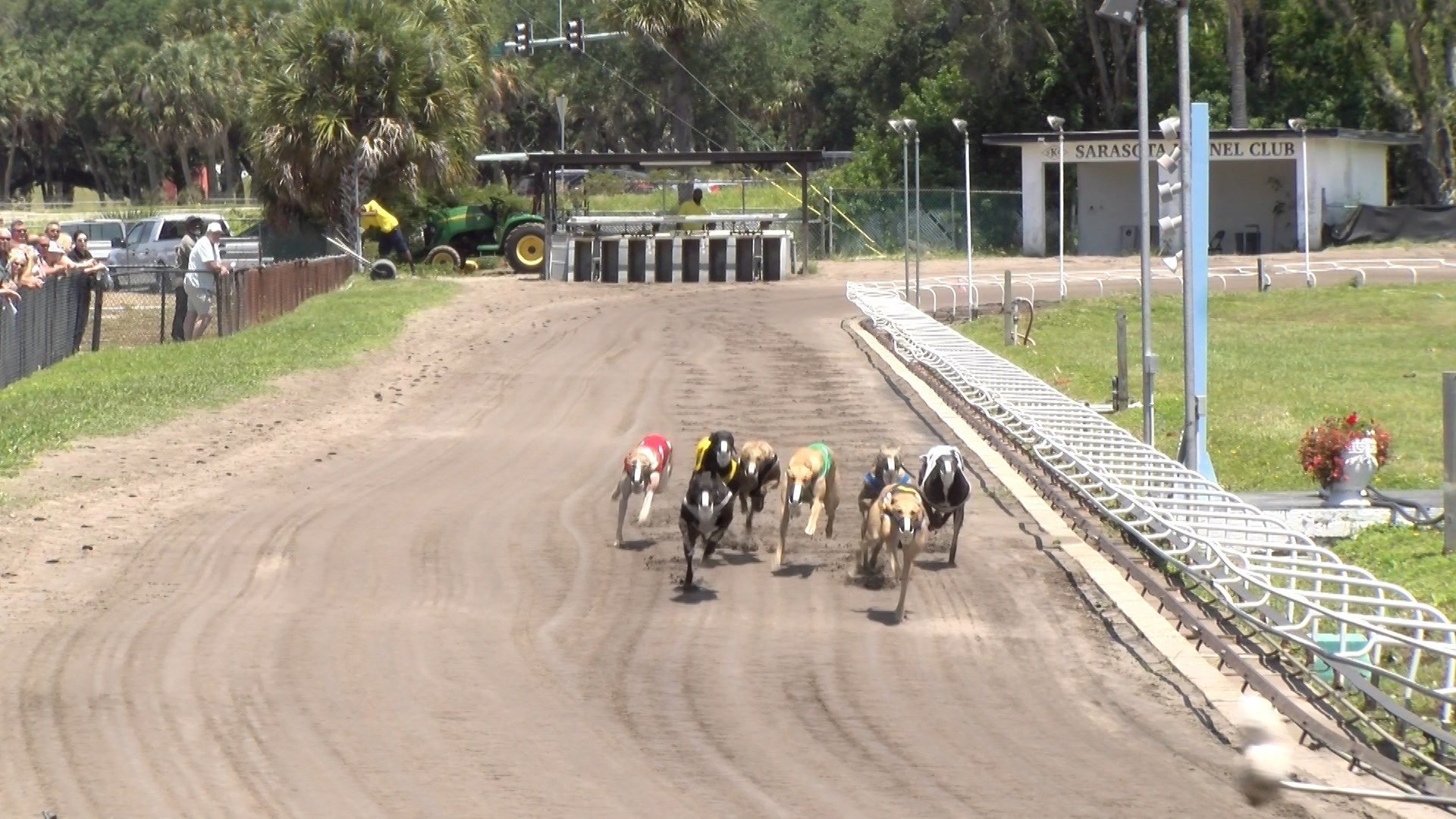 Sarasota Kennel Club hosts its final greyhound races Suncoast News
