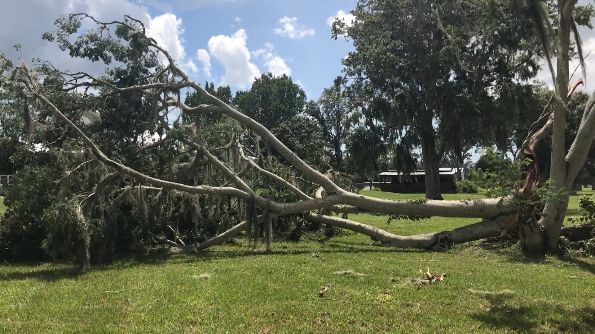 Strong storms in Sarasota cause damage to neighborhoods - Suncoast News ...