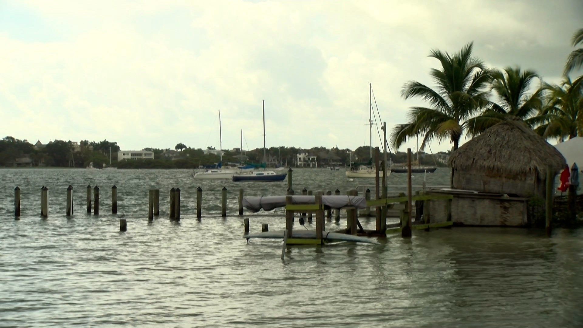 body-found-floating-in-sarasota-bay-is-identified-suncoast-news-and