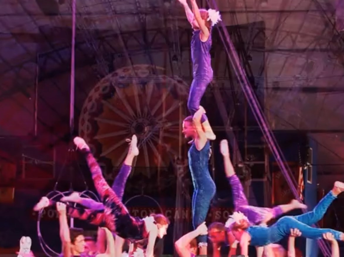 Sailor Circus Back Under The Big Top This Week Suncoast News And